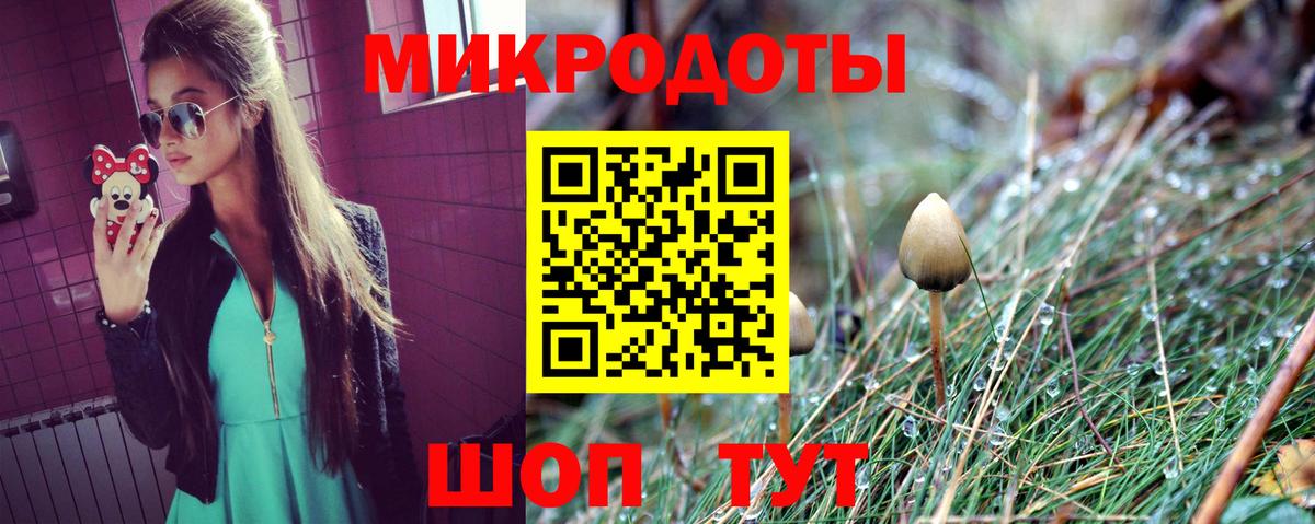 Псилоцибиновые грибы MAGIC MUSHROOMS  Вход с VPN  Альметьевск 