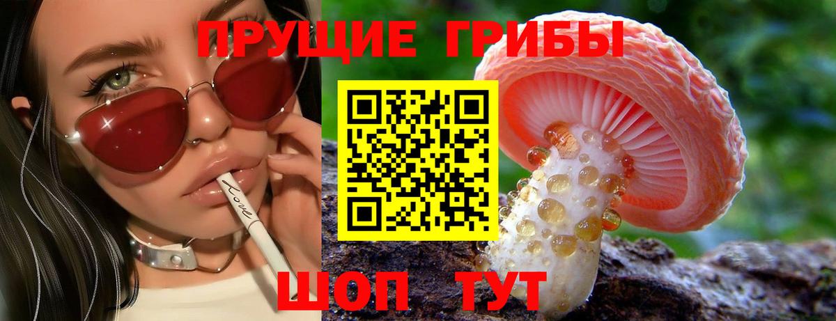 Галлюциногенные грибы Psilocybine cubensis Альметьевск